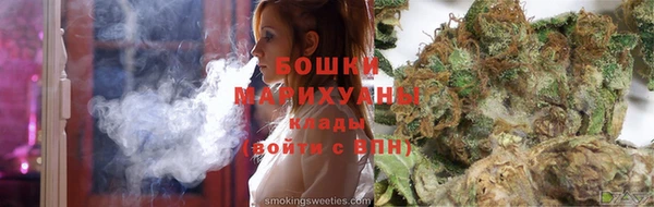 гидропоника Алзамай
