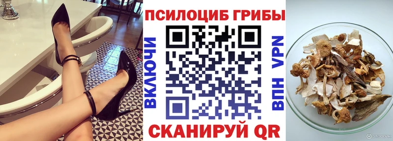 где продают наркотики  Грязи  Псилоцибиновые грибы Magic Shrooms 